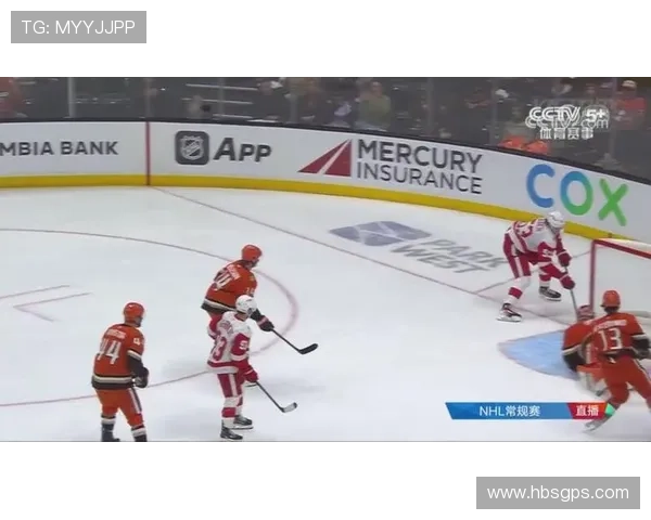 阿纳海姆小鸭逆袭底特律红翼胜利之路展现精彩比分